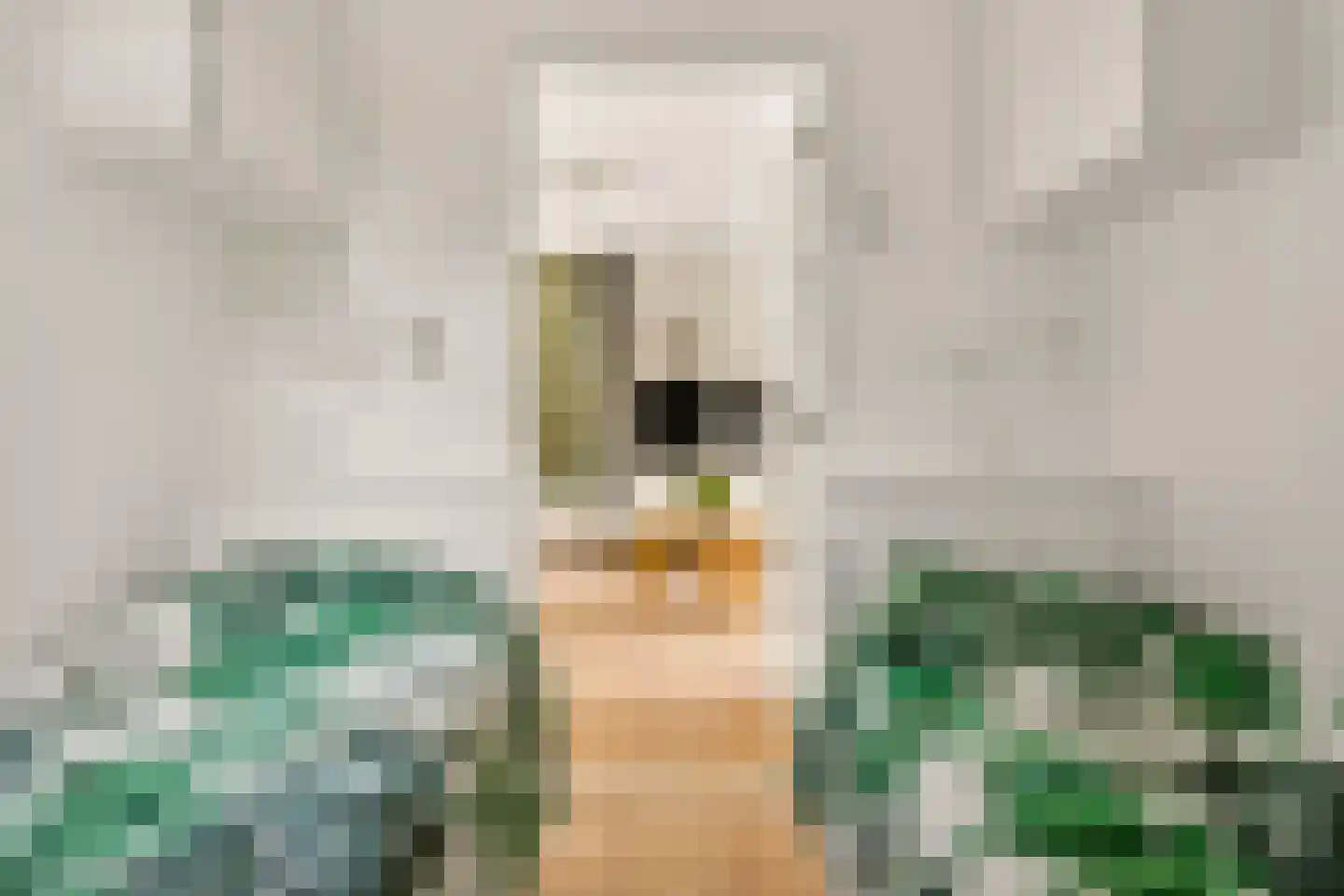 Mengersdijk 9 61 Neede thumbnail 18