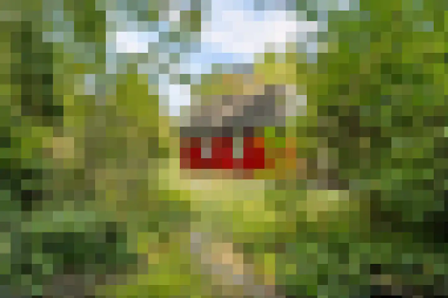 Mengersdijk 9 61 Neede thumbnail 32