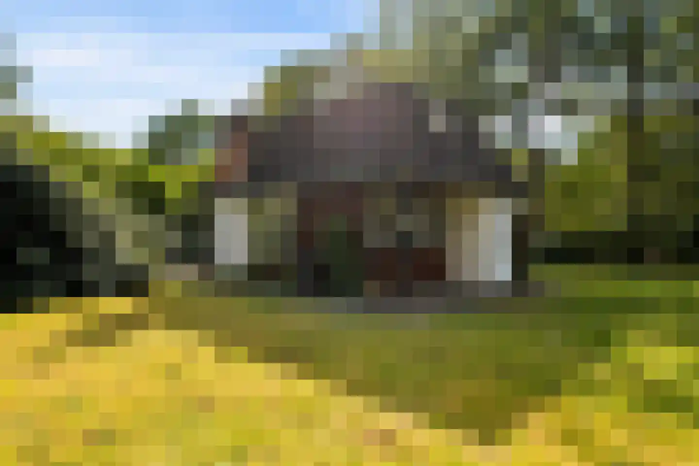 Mengersdijk 9 61 Neede thumbnail 40