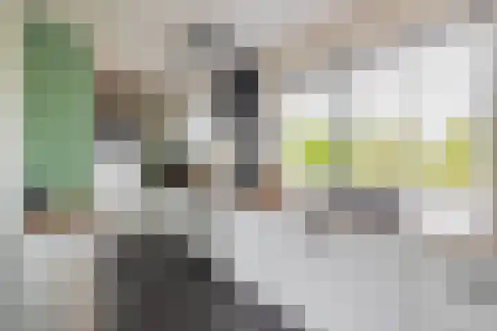 Menheerseplein 15 Middelharnis thumbnail 10