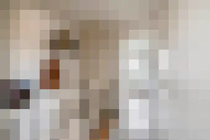 Menheerseplein 15 Middelharnis thumbnail 13