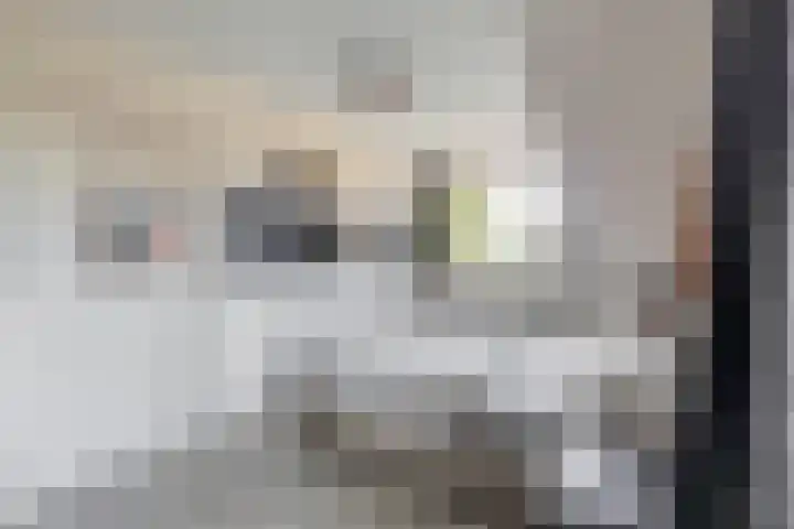 Menheerseplein 15 Middelharnis thumbnail 16