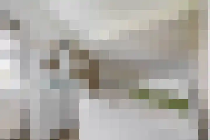 Menheerseplein 15 Middelharnis thumbnail 18