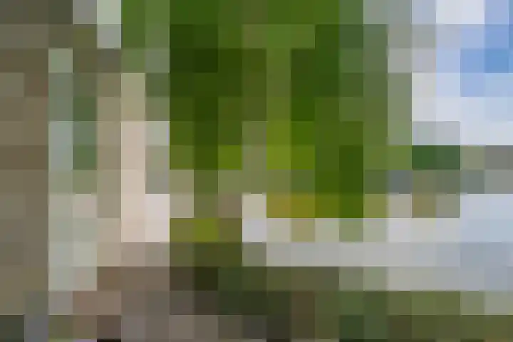 Menheerseplein 15 Middelharnis thumbnail 28