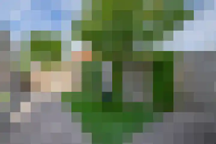 Menheerseplein 15 Middelharnis thumbnail 32