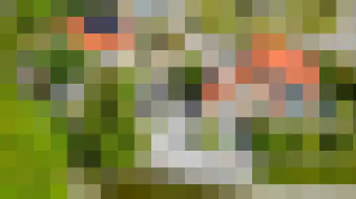 Menheerseplein 15 Middelharnis thumbnail 38