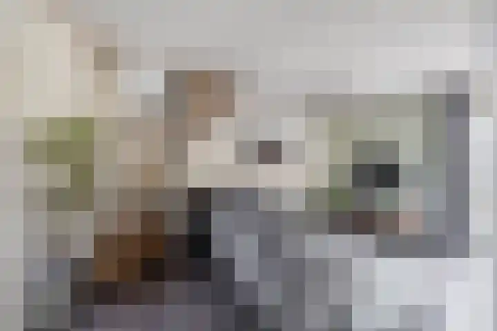 Menheerseplein 15 Middelharnis thumbnail 6