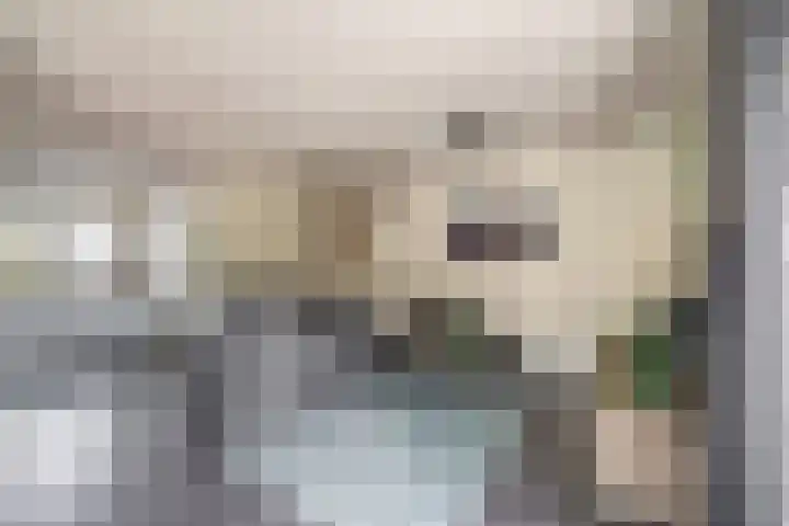 Menheerseplein 15 Middelharnis thumbnail 7