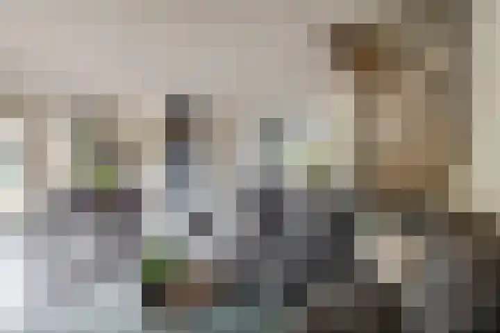 Menheerseplein 15 Middelharnis thumbnail 8