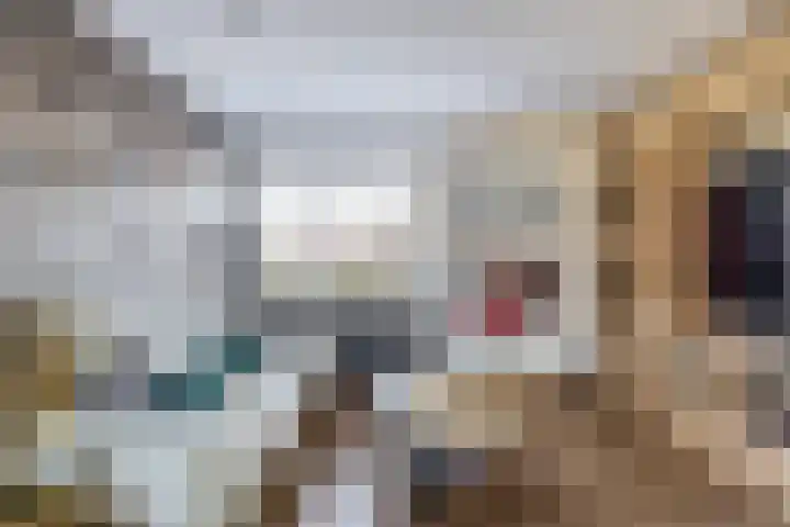 Menheerseplein 23 Middelharnis thumbnail 9