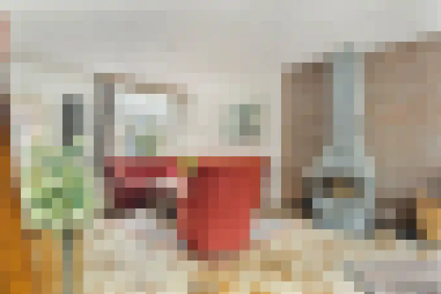 Menisweg 3 Schagen thumbnail 12