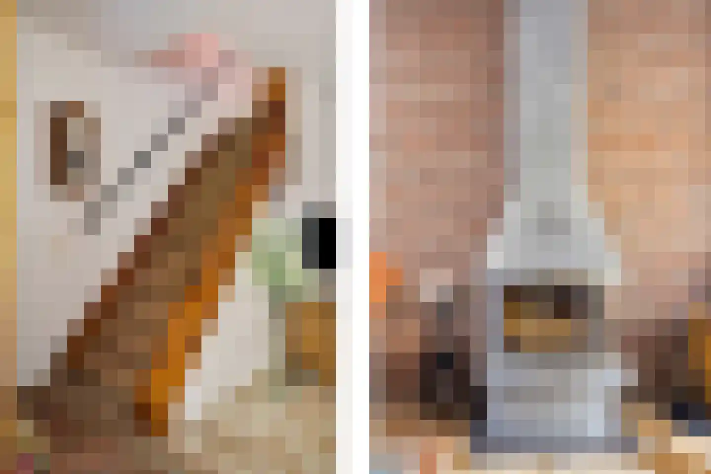 Menisweg 3 Schagen thumbnail 15