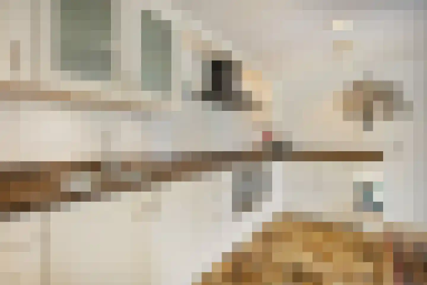 Menisweg 3 Schagen thumbnail 17