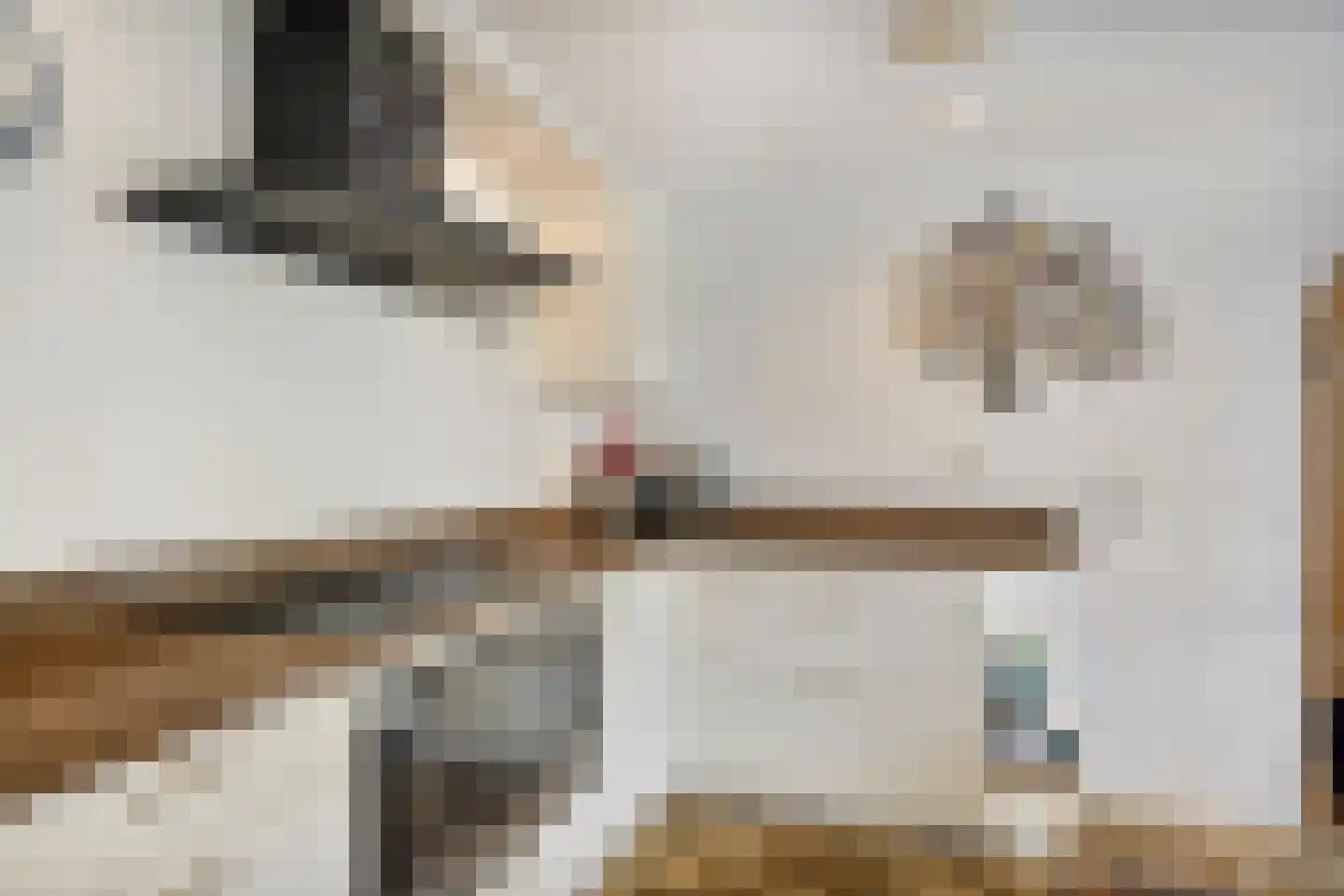 Menisweg 3 Schagen thumbnail 18