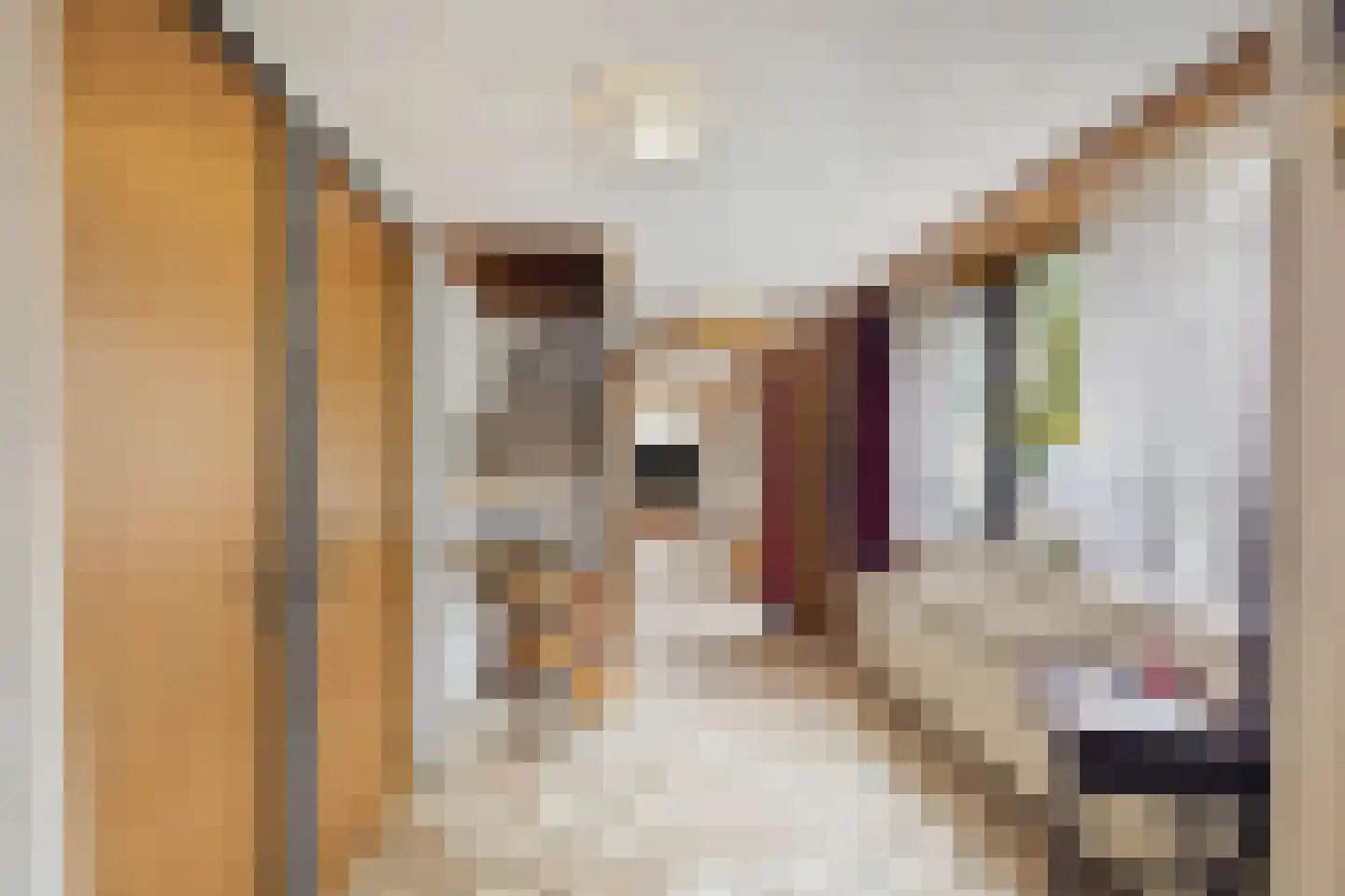 Menisweg 3 Schagen thumbnail 21
