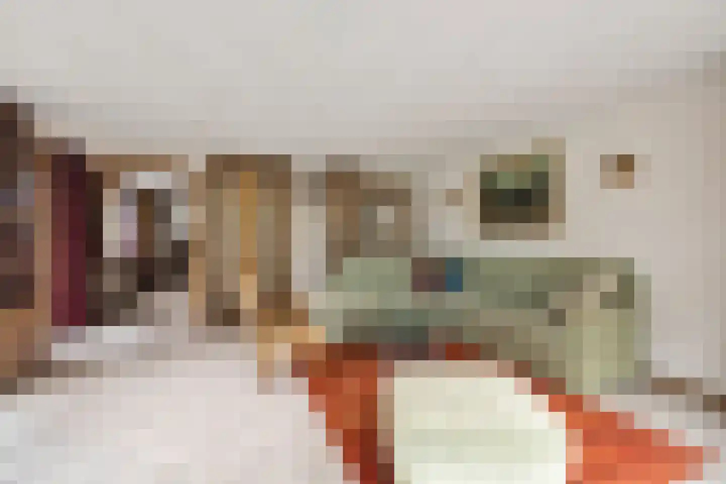 Menisweg 3 Schagen thumbnail 27