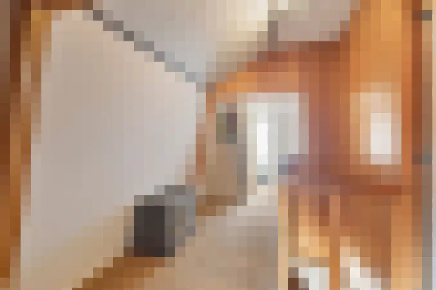 Menisweg 3 Schagen thumbnail 31