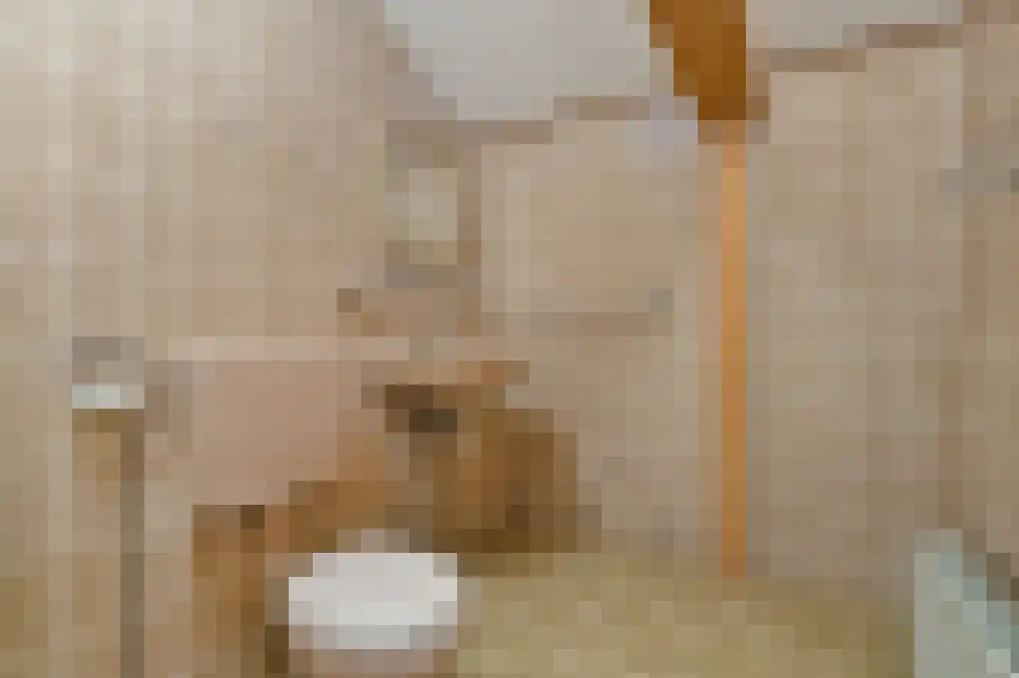 Menisweg 3 Schagen thumbnail 34
