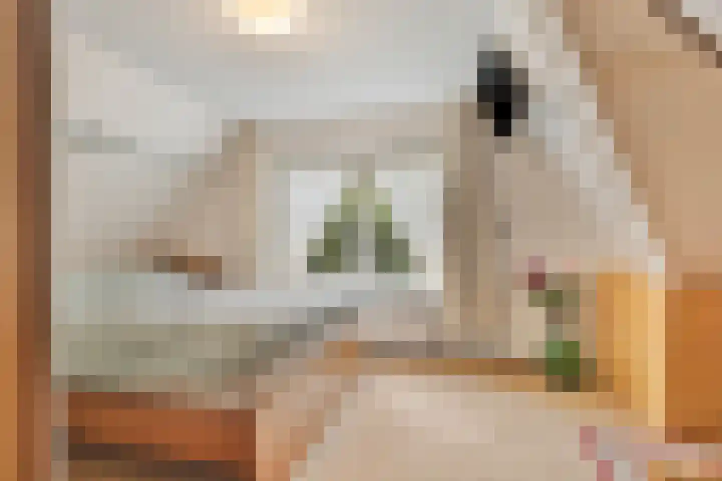 Menisweg 3 Schagen thumbnail 35