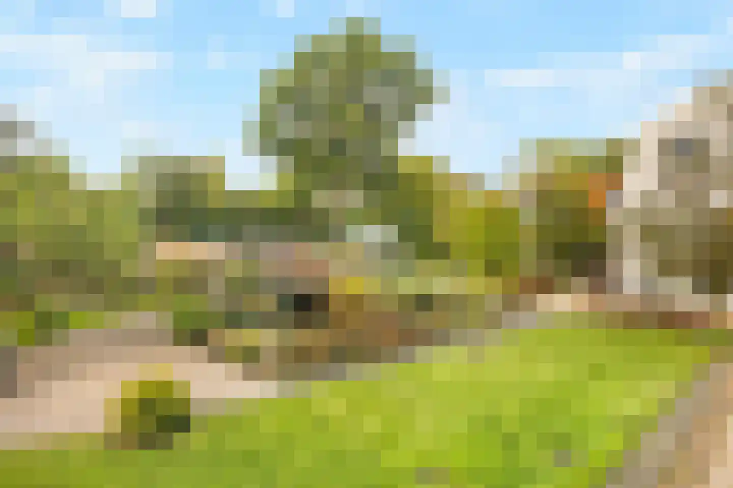 Menisweg 3 Schagen thumbnail 4