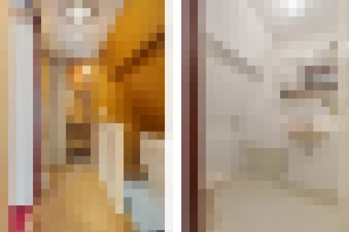 Menisweg 3 Schagen thumbnail 40