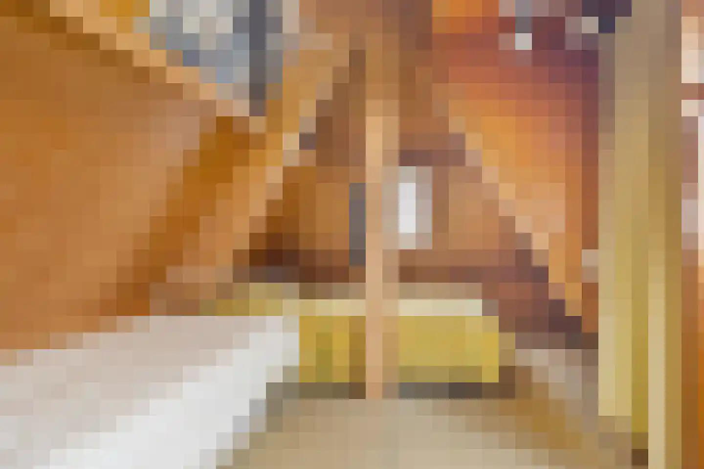 Menisweg 3 Schagen thumbnail 43