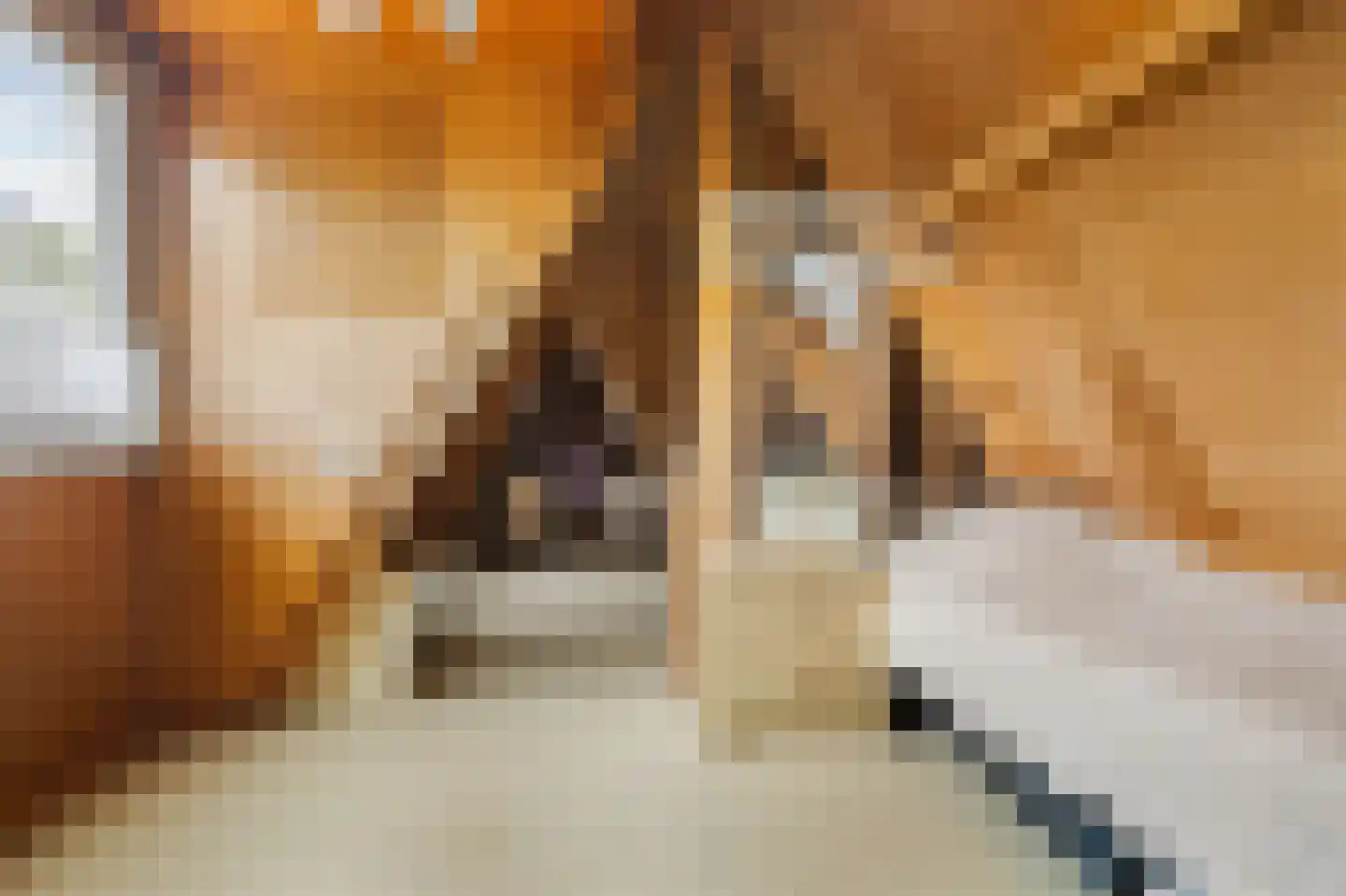 Menisweg 3 Schagen thumbnail 44