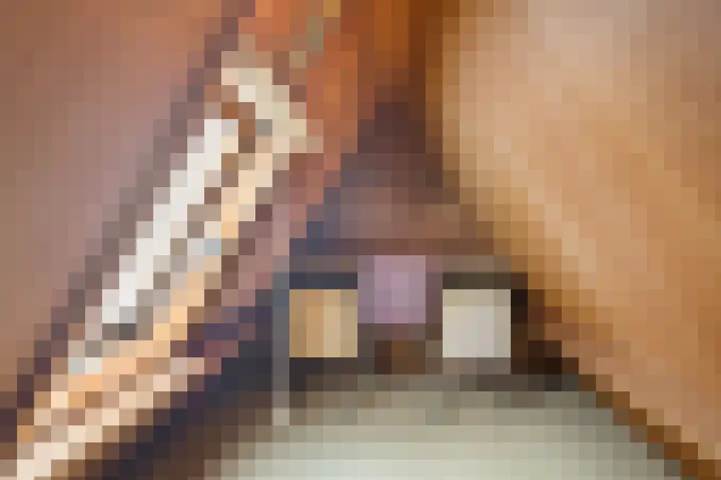 Menisweg 3 Schagen thumbnail 45