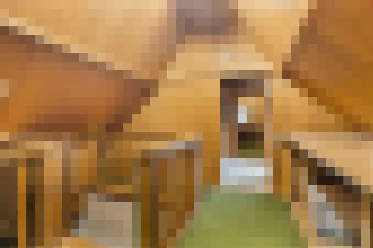 Menisweg 3 Schagen thumbnail 46