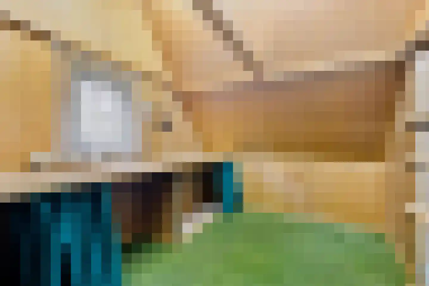 Menisweg 3 Schagen thumbnail 48
