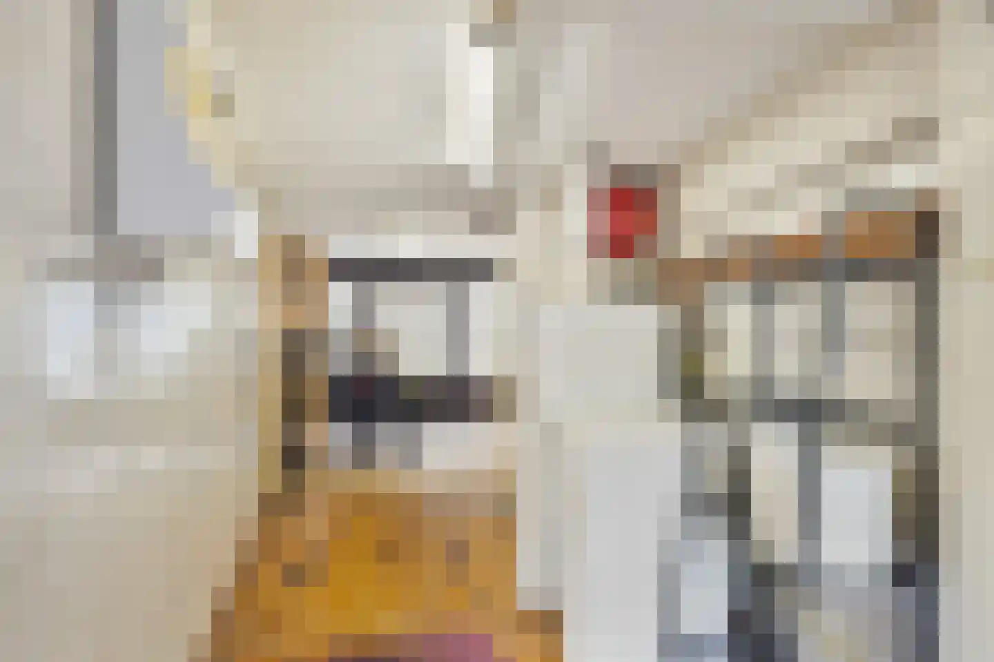 Menisweg 3 Schagen thumbnail 49