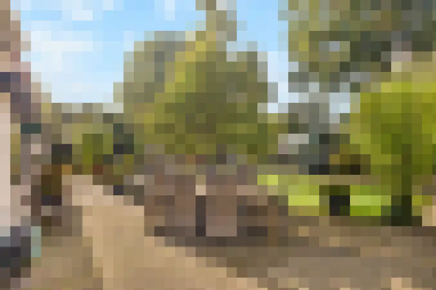 Menisweg 3 Schagen thumbnail 53