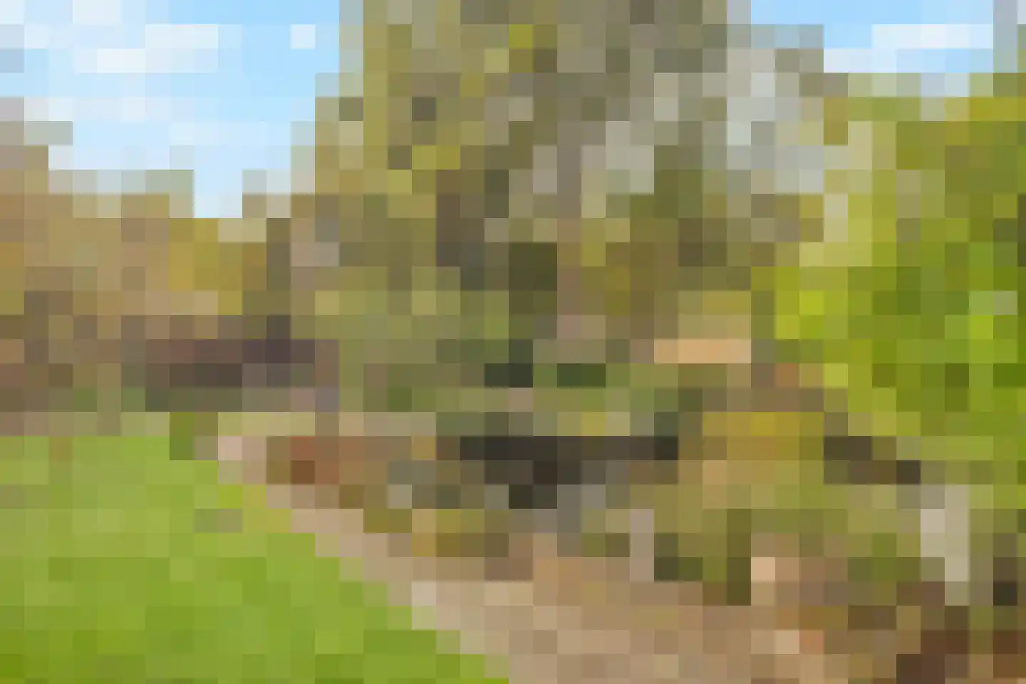 Menisweg 3 Schagen thumbnail 56