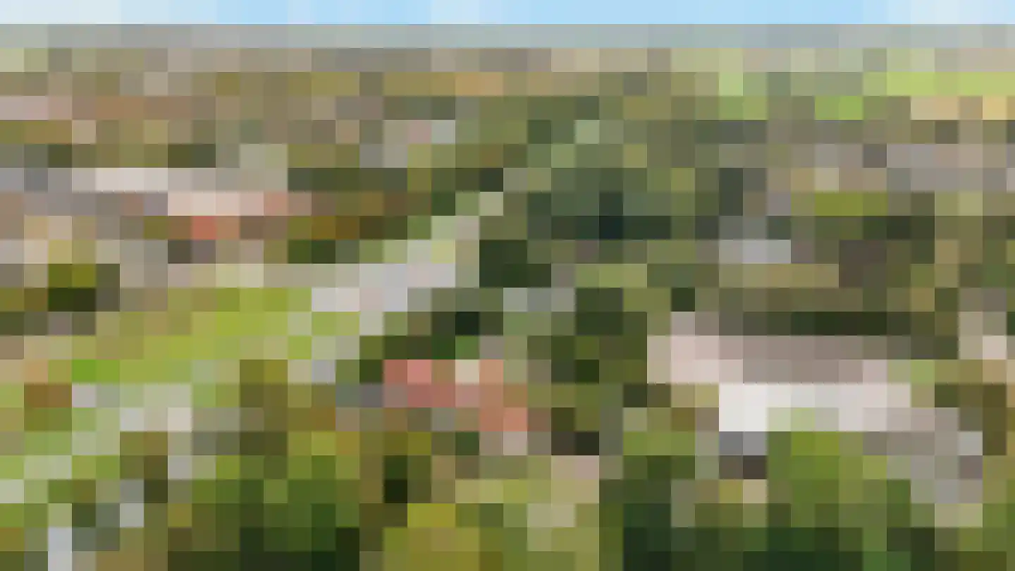 Menisweg 3 Schagen thumbnail 58