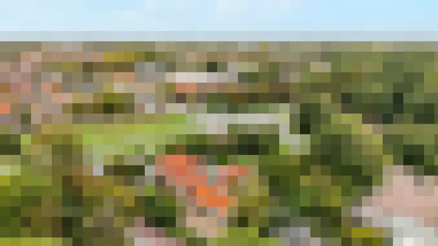 Menisweg 3 Schagen thumbnail 59