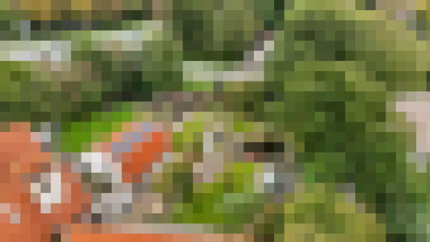 Menisweg 3 Schagen thumbnail 61