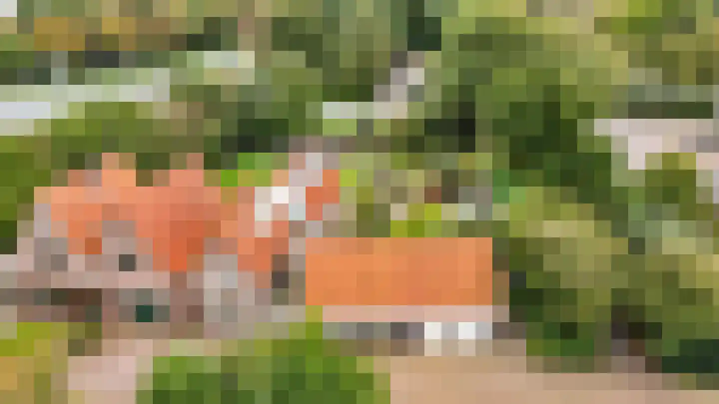 Menisweg 3 Schagen thumbnail 62