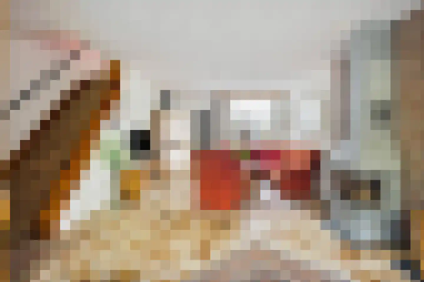 Menisweg 3 Schagen thumbnail 9