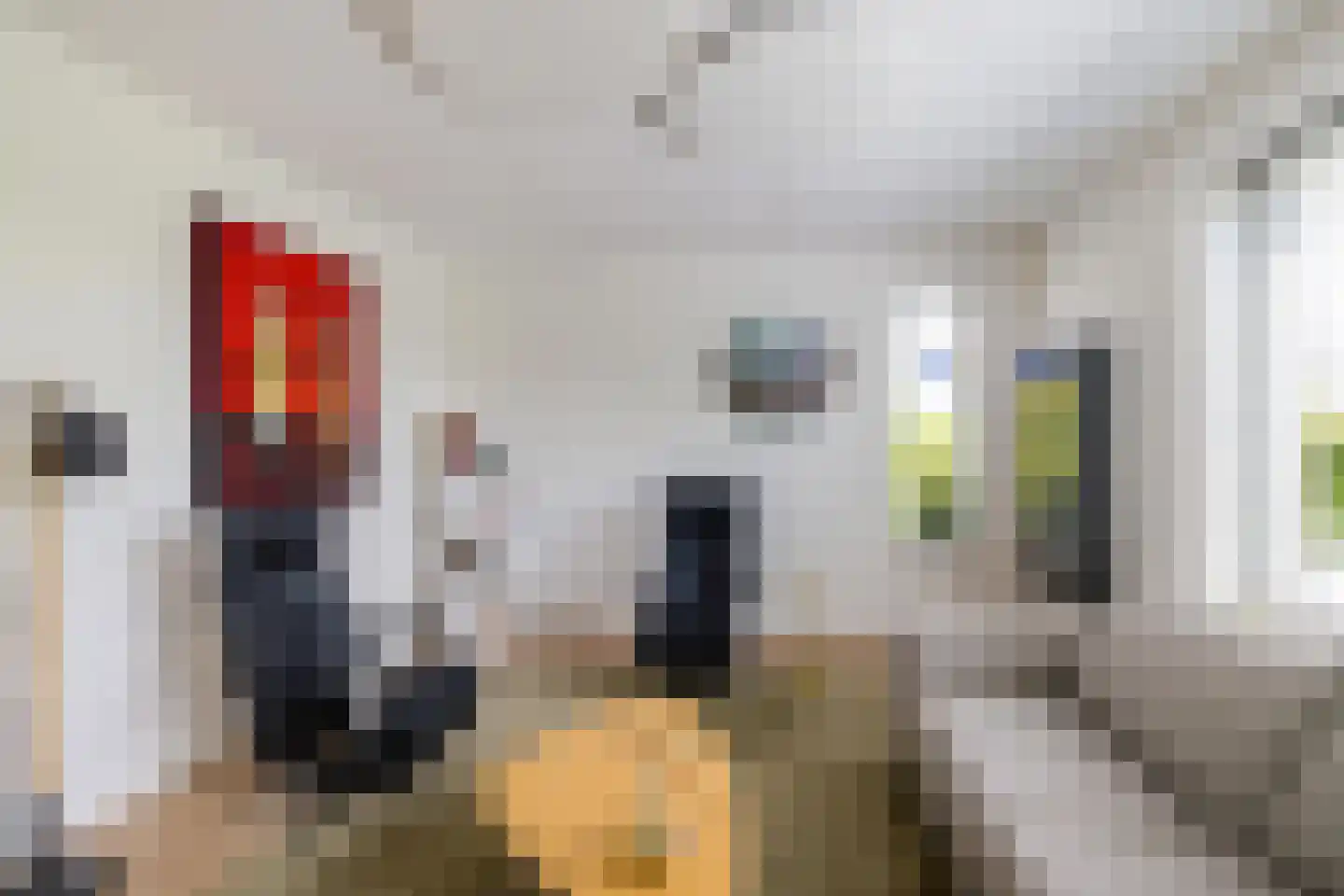 Menkarstraat 12 Zuidhorn thumbnail 10