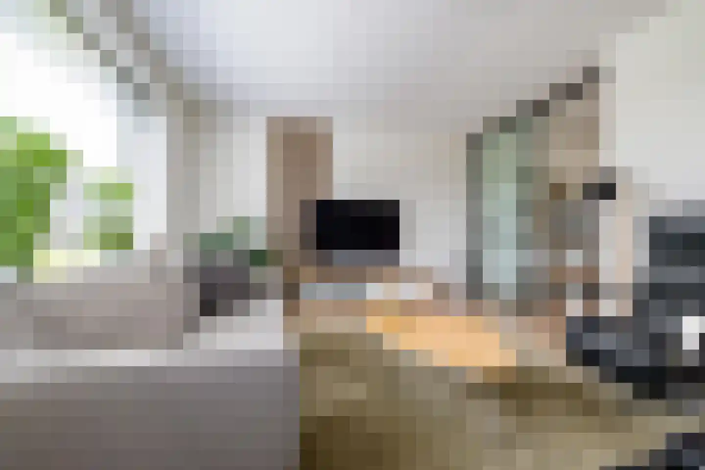 Menkarstraat 12 Zuidhorn thumbnail 4
