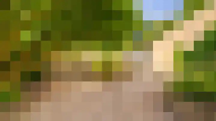 Menkemaborg 17 Almelo thumbnail 31