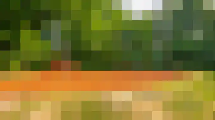 Menkemaborg 17 Almelo thumbnail 35