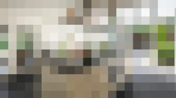 Menkemaborg 17 Almelo thumbnail 5