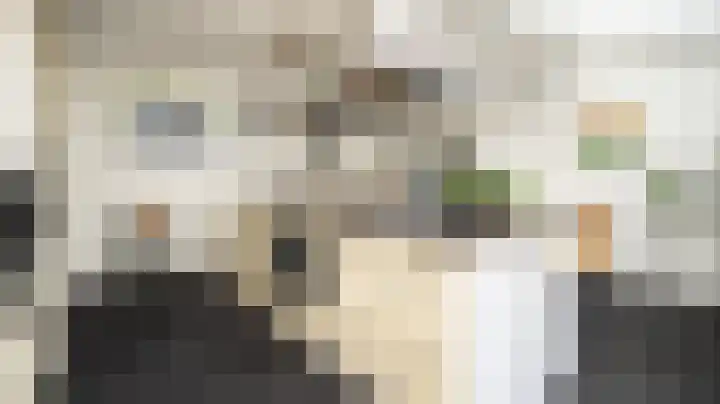 Menkemaborg 17 Almelo thumbnail 8
