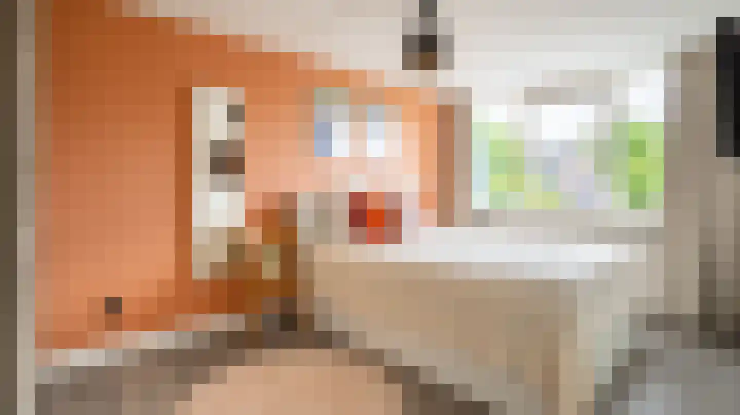 Menkemaborg 20 Almelo thumbnail 12
