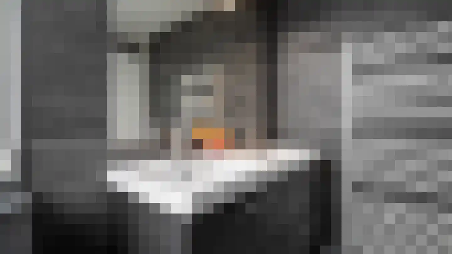 Menkemaborg 20 Almelo thumbnail 20