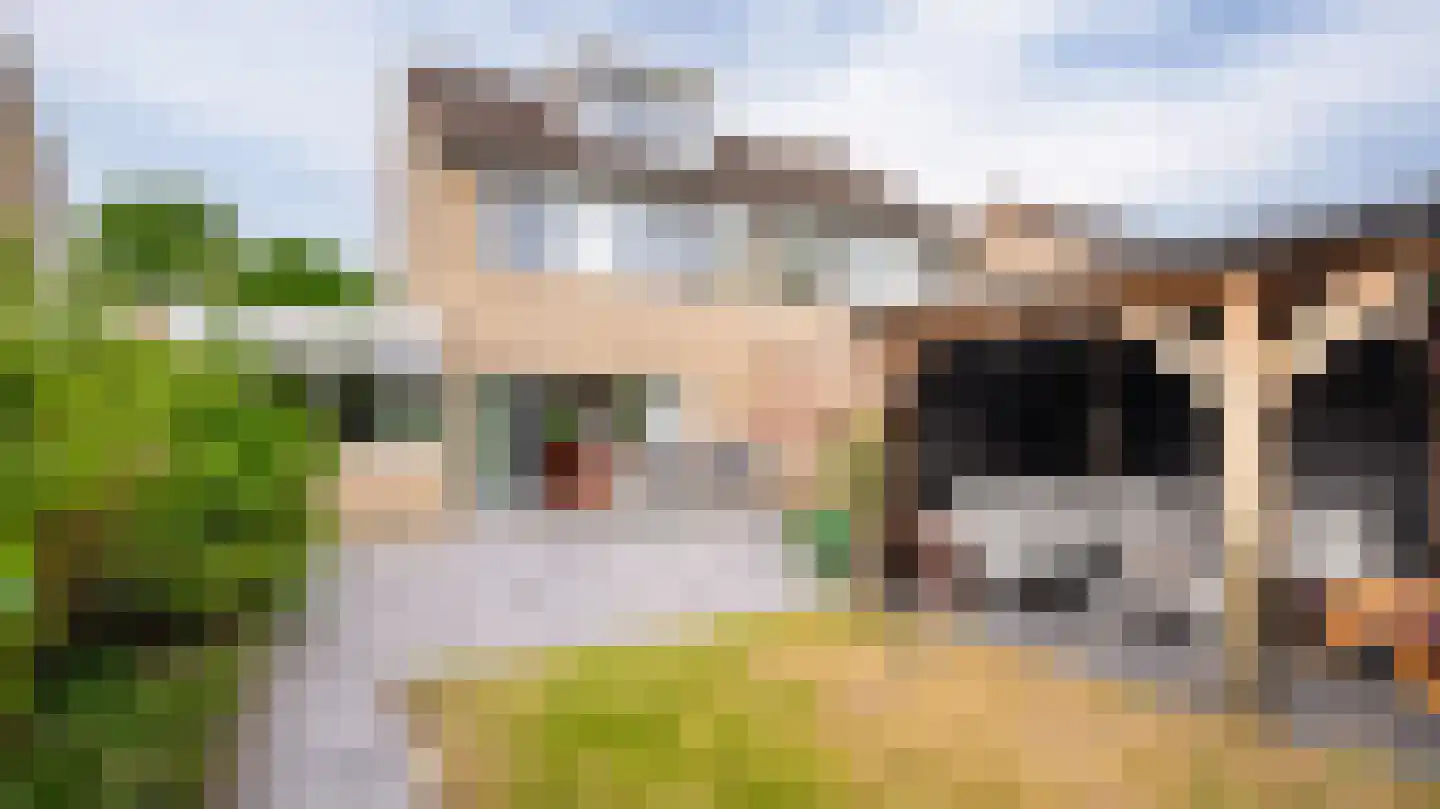 Menkemaborg 20 Almelo thumbnail 30