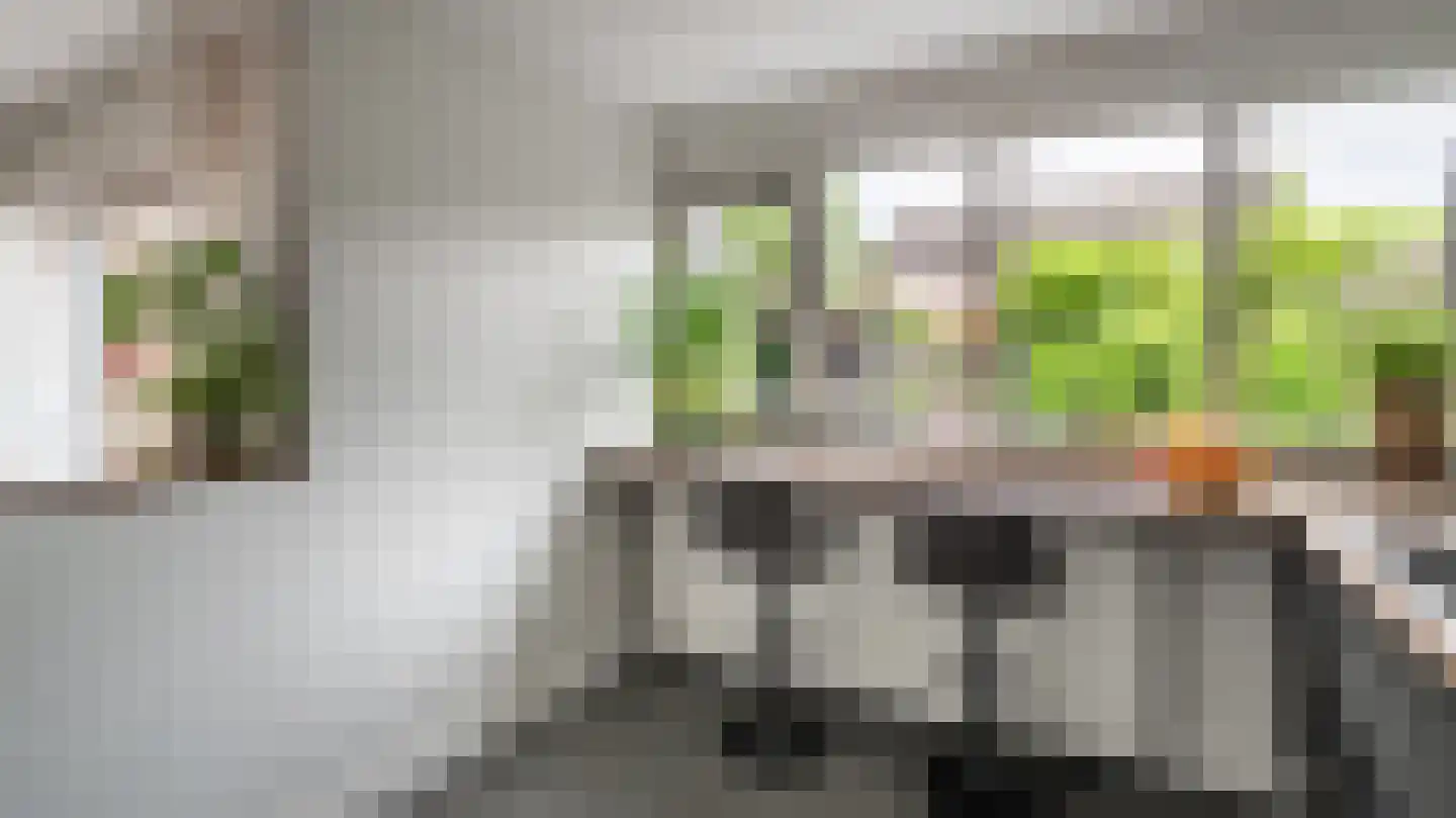 Menkemaborg 20 Almelo thumbnail 7