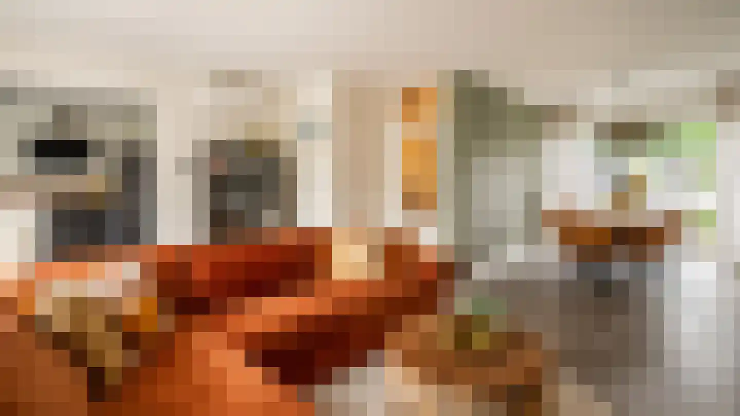 Menkemaborg 20 Almelo thumbnail 8