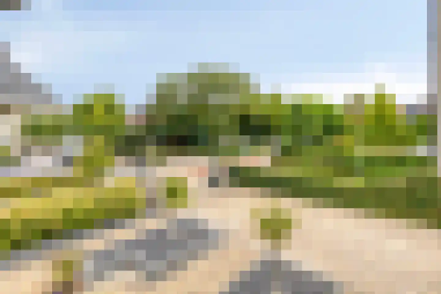 Menkemaborg 34 Lelystad thumbnail 48